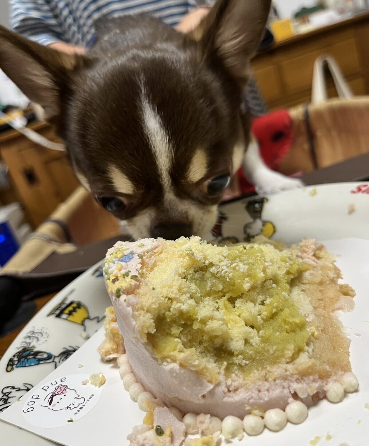 ケーキを食べる海龍