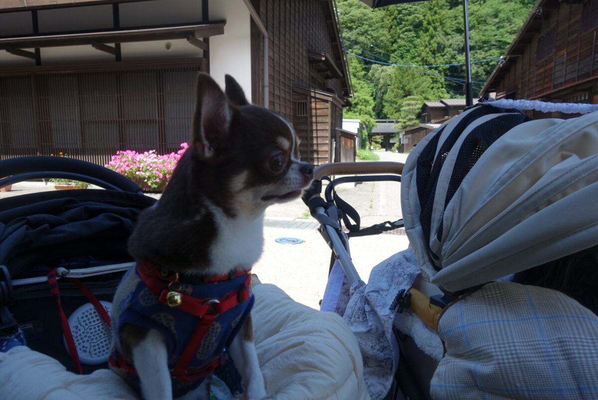 奈良井宿と海龍