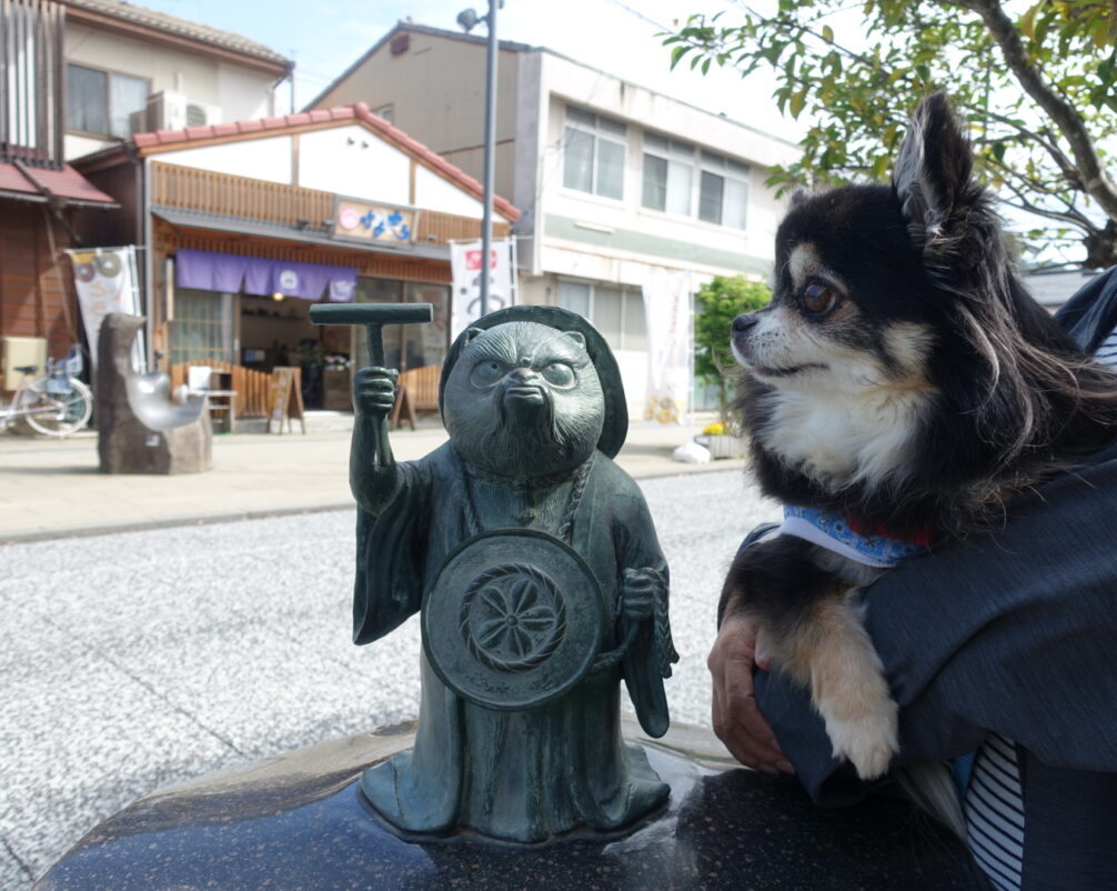 妖怪たぬきと鳳龍