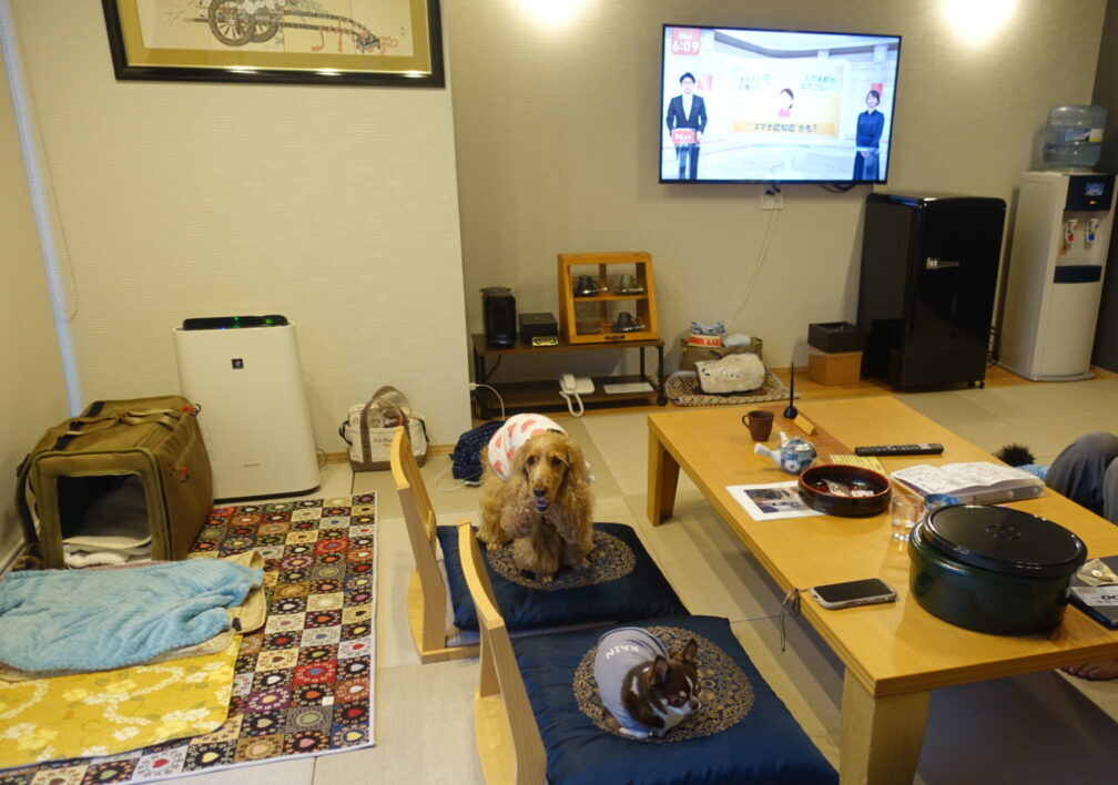 部屋でくつろぐ犬達