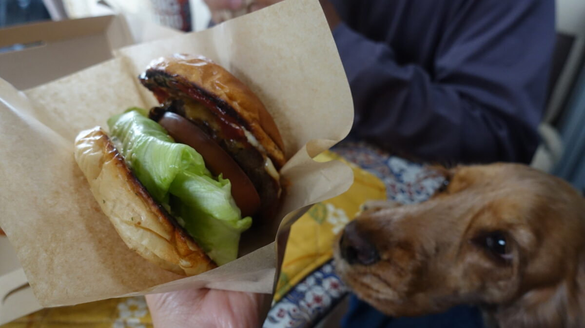 Sunnyのハンバーガー