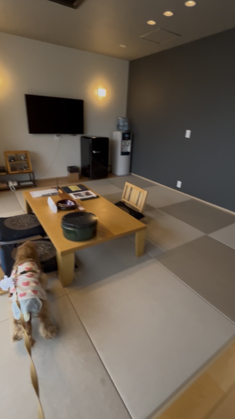 旅館のお部屋