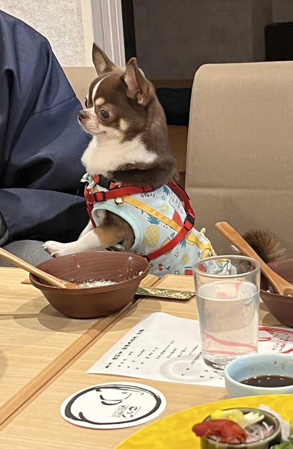 料理に夢中な海龍