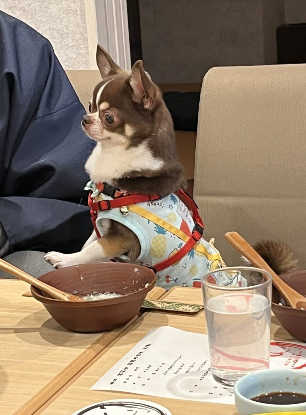 料理に夢中な海龍