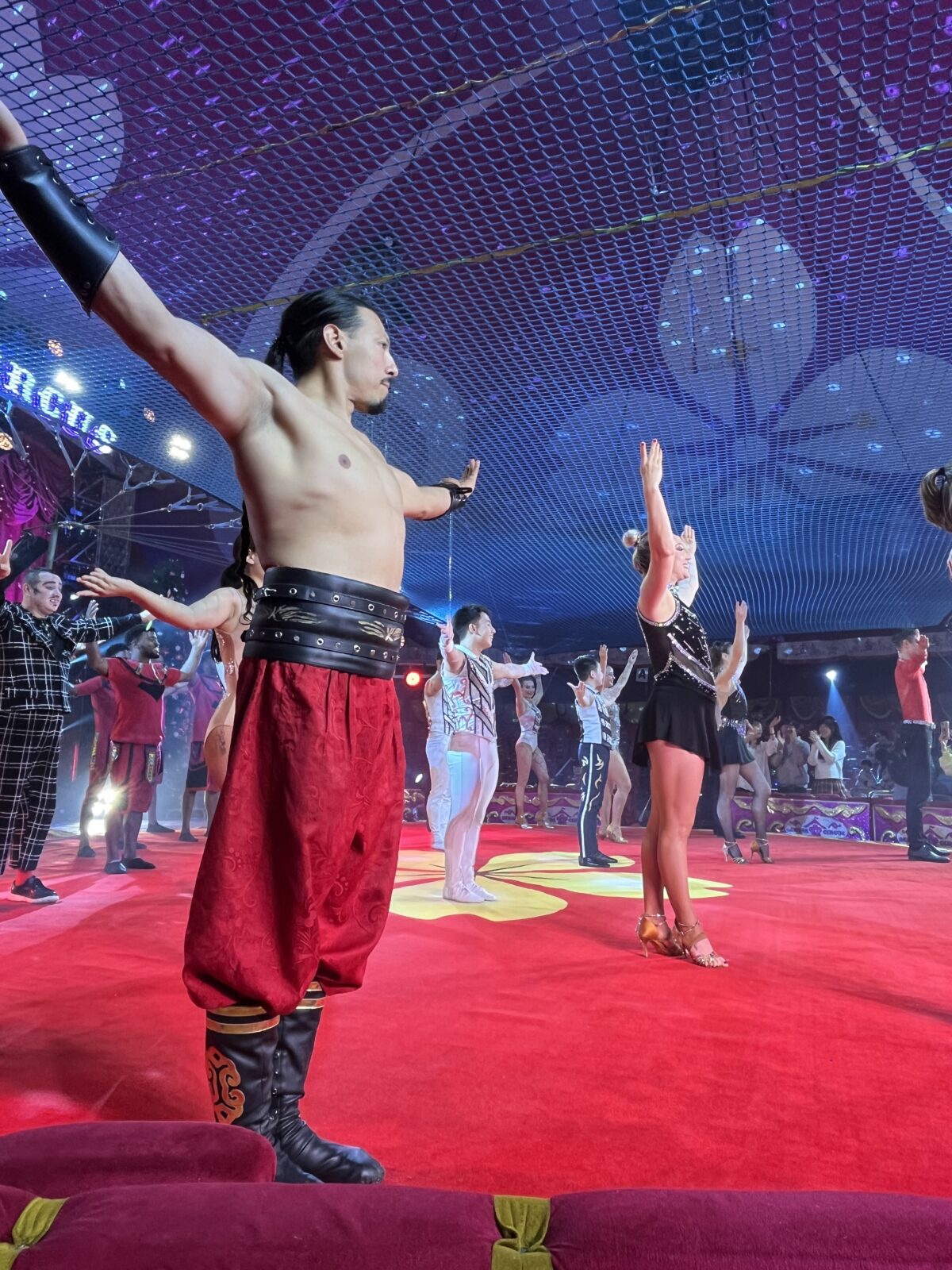 さくらサーカス