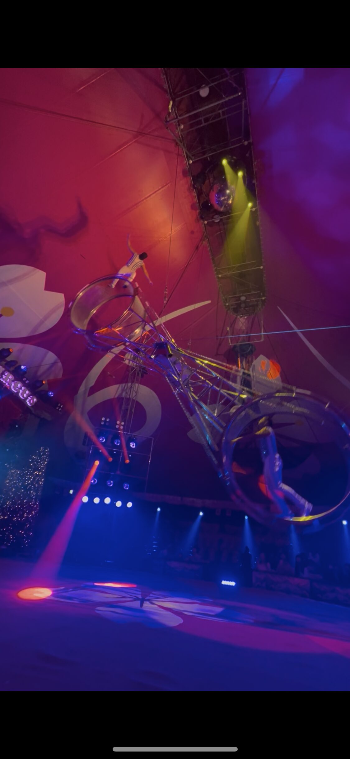 さくらサーカス大車輪