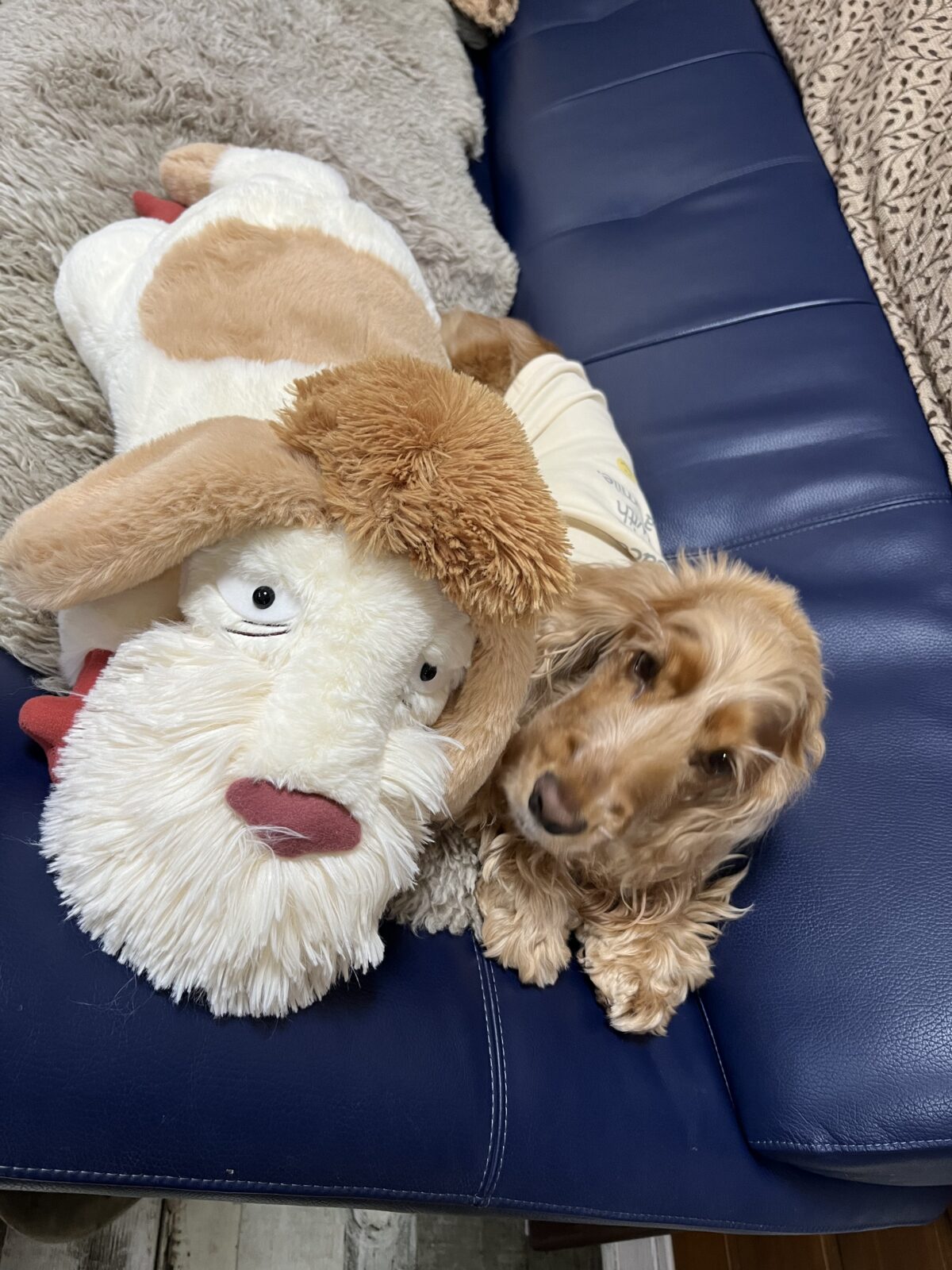 ハウルの城のヒンとテン