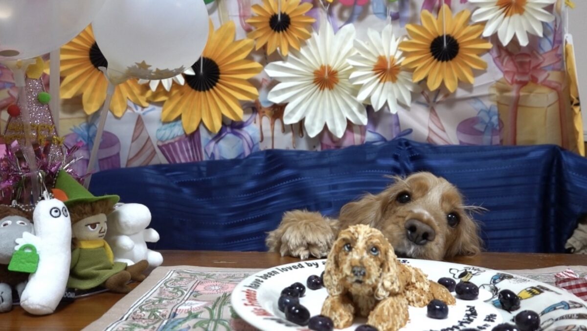 テンとケーキ
